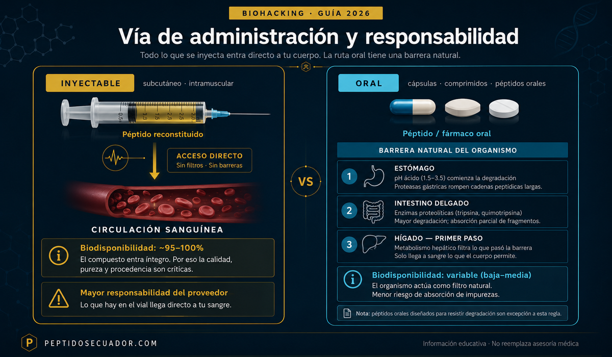 Diagrama educativo sobre vías de administración y responsabilidad en la calidad de péptidos