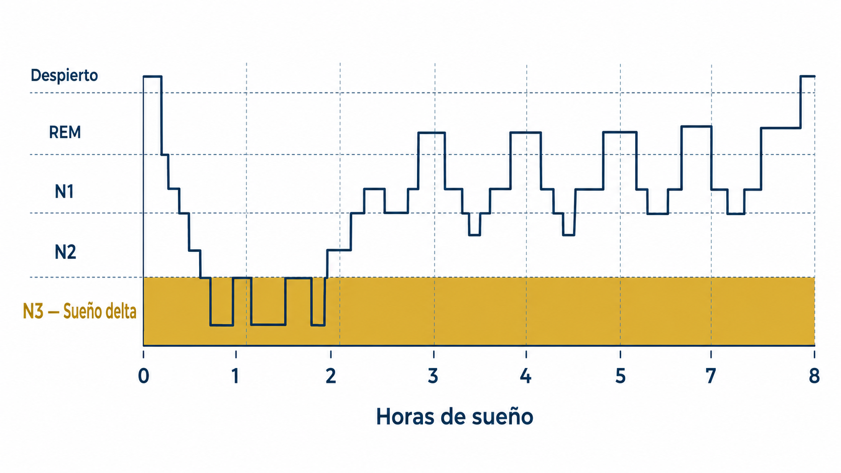 Estructura del DSIP: nonapéptido de secuencia Trp-Ala-Gly-Gly-Asp-Ala-Ser-Gly-Glu