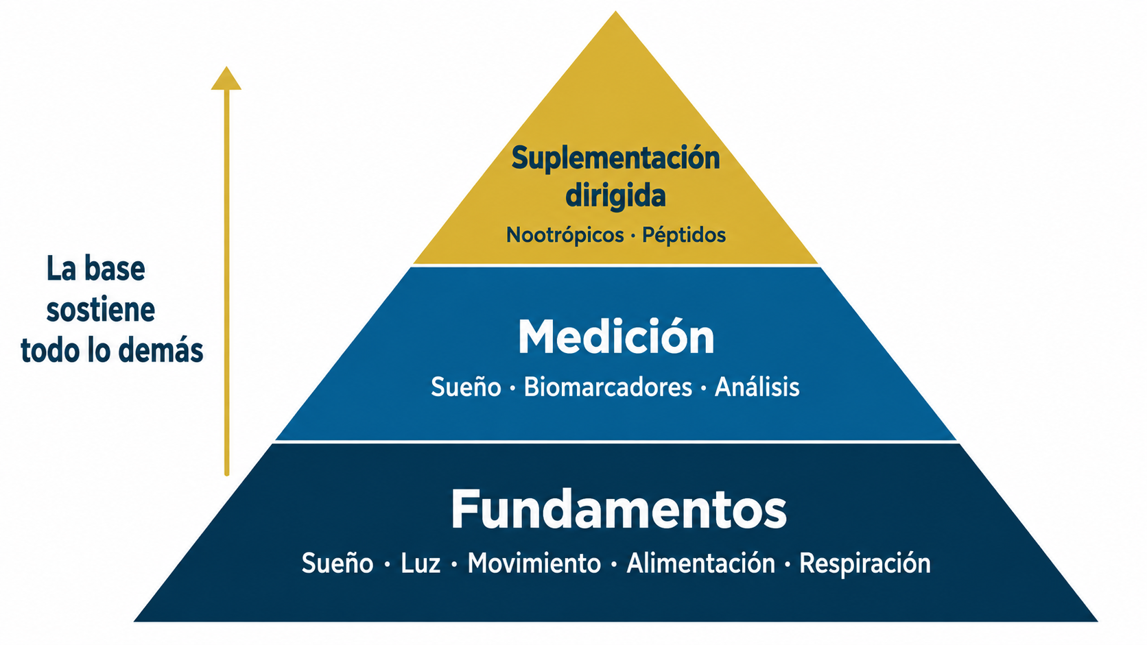 Los tres niveles del biohacking: fundamentos, medición y suplementación dirigida