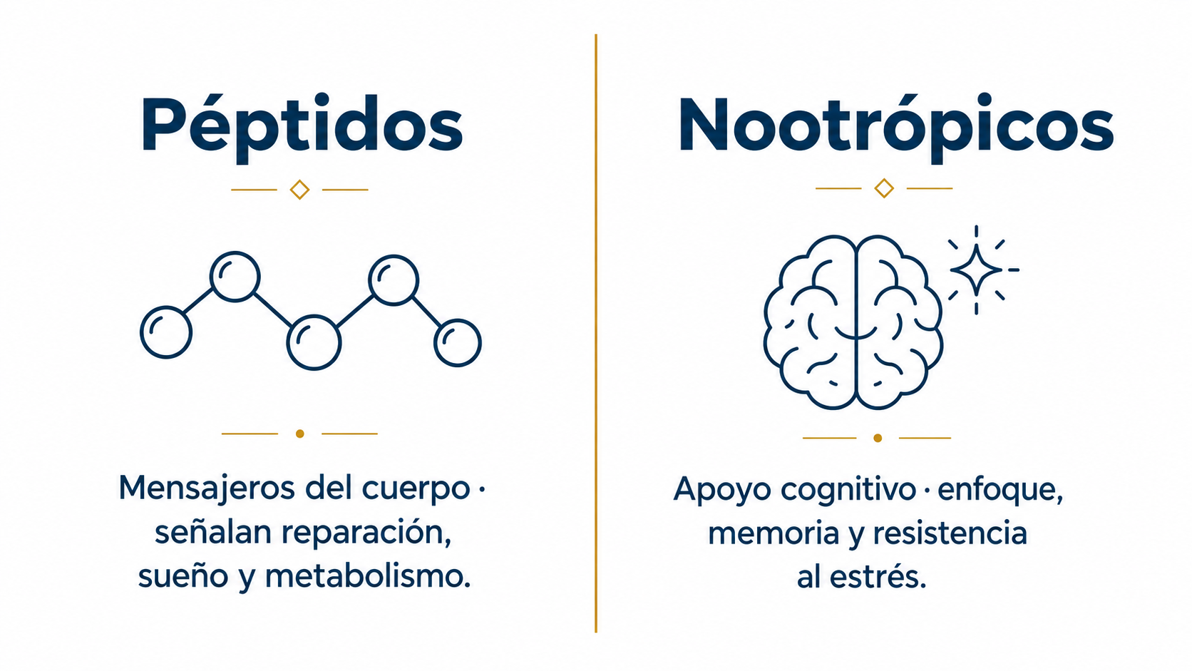 Péptidos como mensajeros del cuerpo y nootrópicos como apoyo cognitivo dentro del biohacking