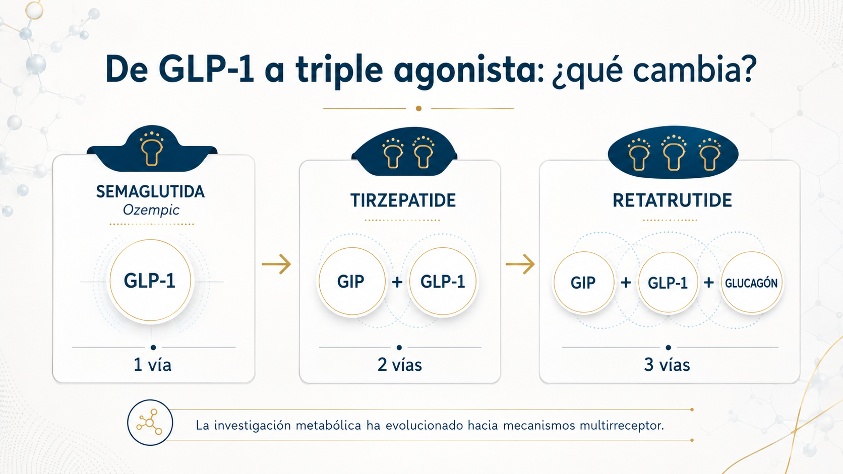 Comparación visual entre semaglutida, Tirzepatide y Retatrutide: de una vía a tres vías