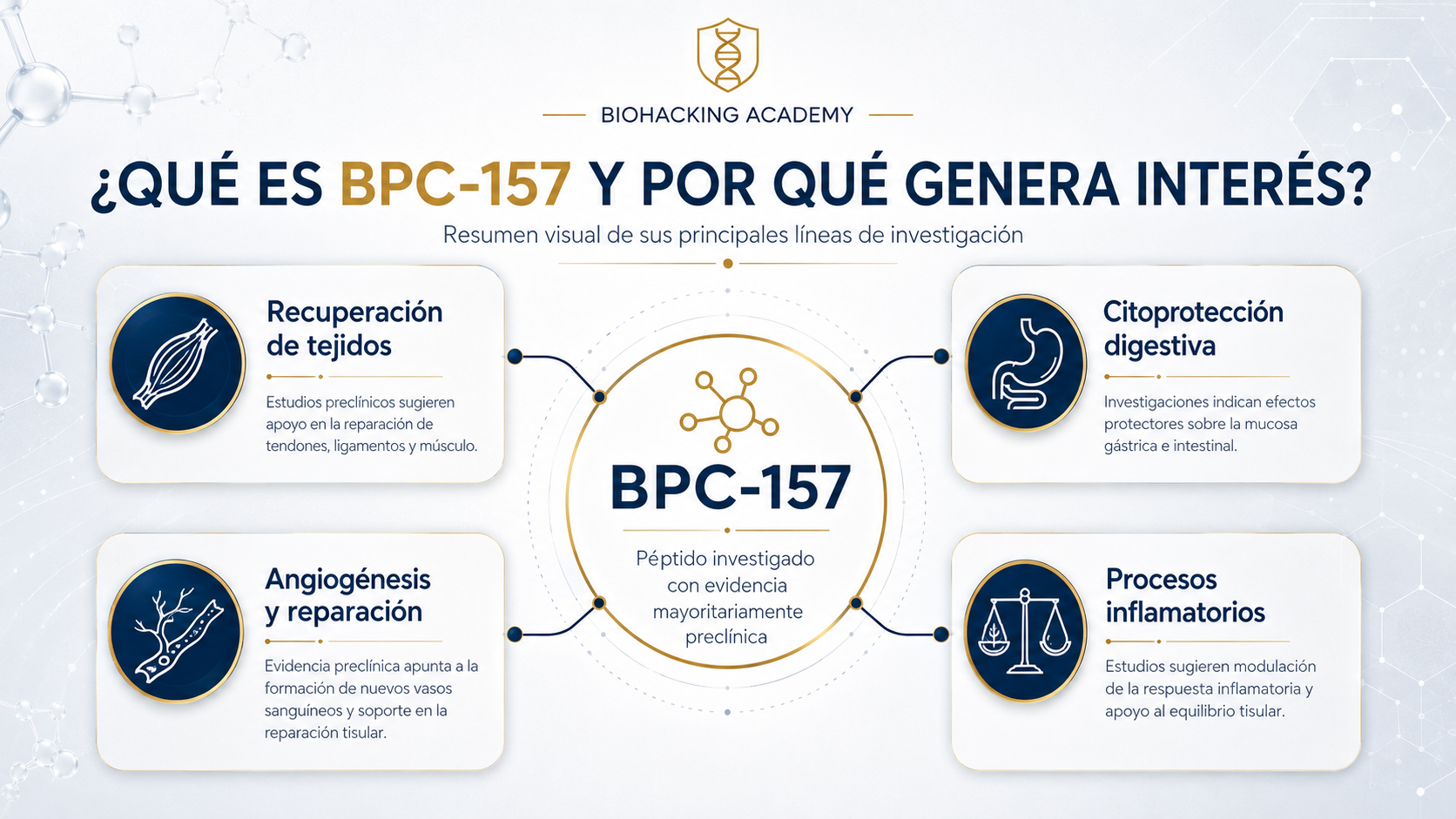 BPC-157: principales áreas de investigación preclínica y beneficios estudiados