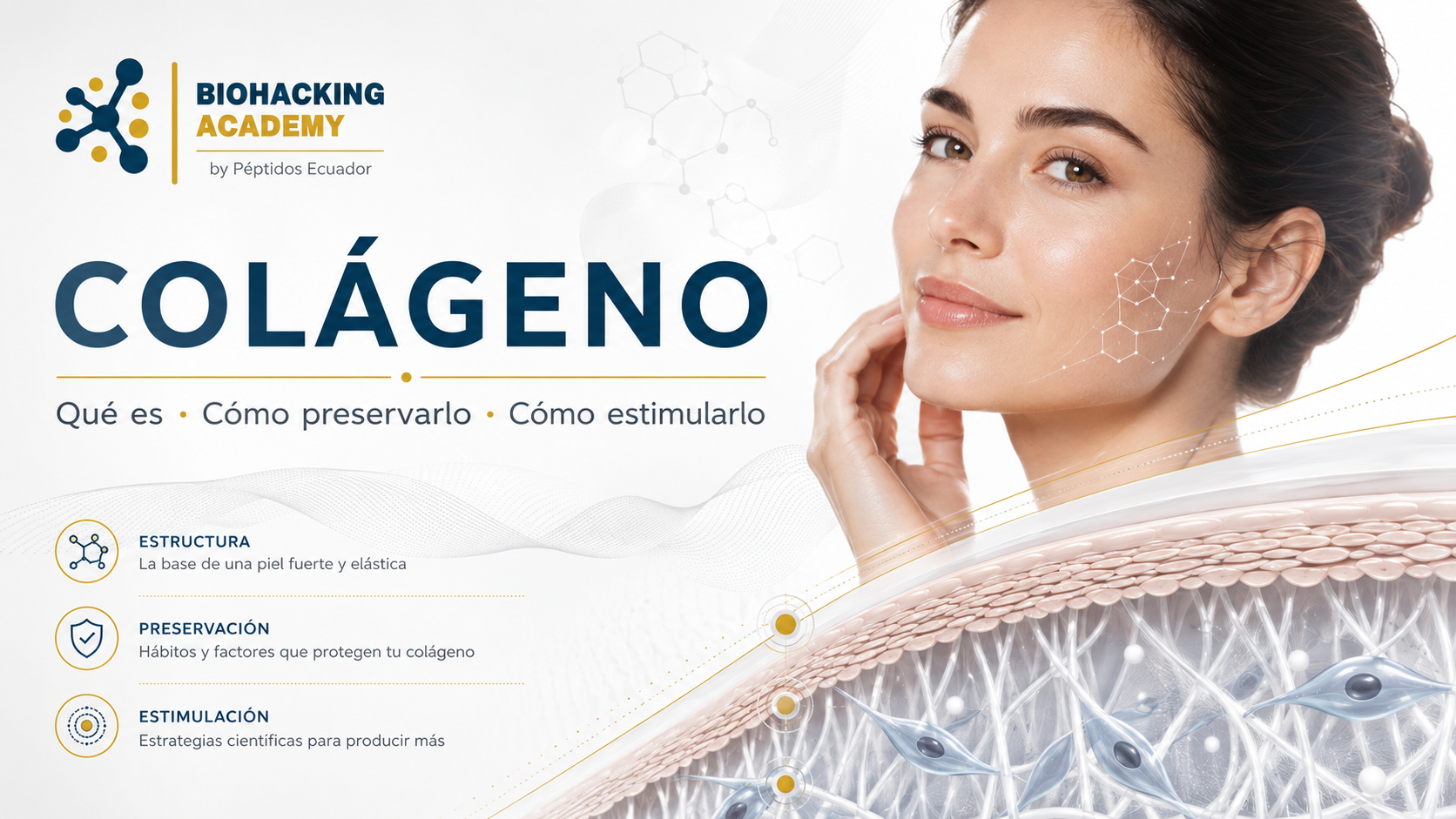 Como preservar y estimular el colageno