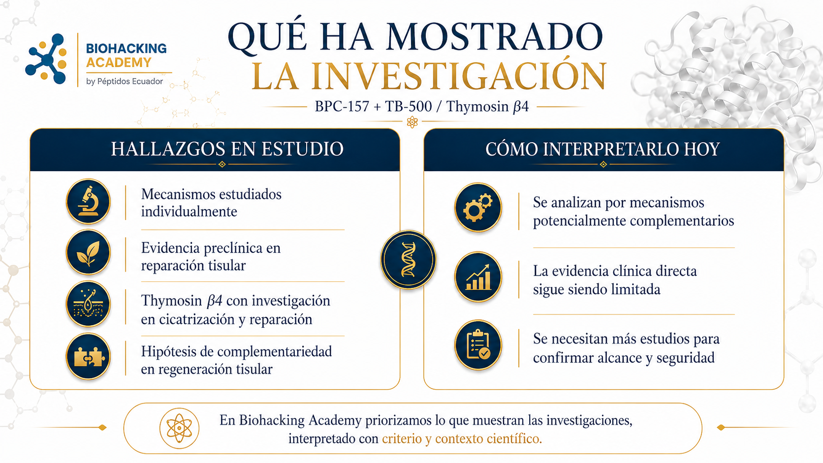 Qué ha mostrado la investigación sobre BPC-157 y TB-500